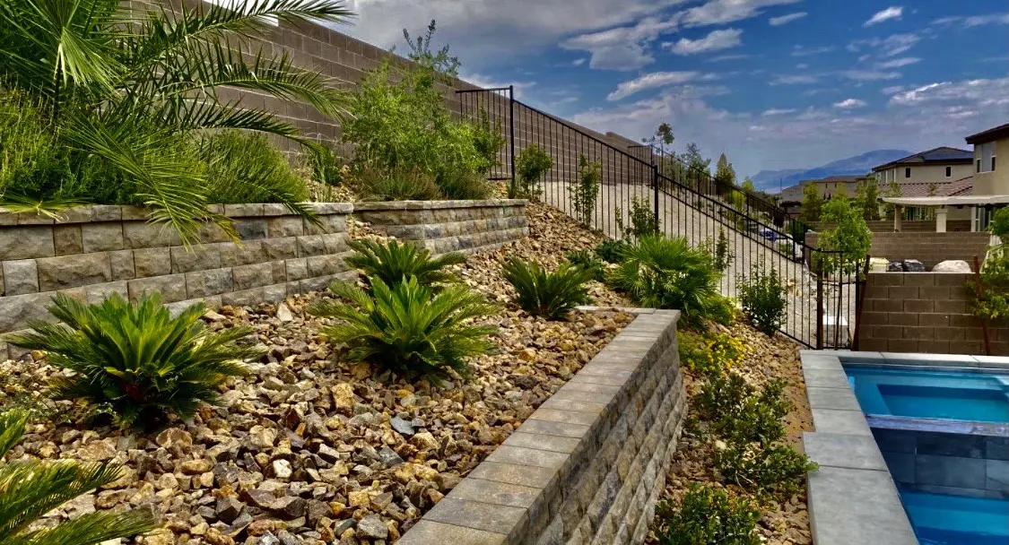 A garden with plants and rocks on the side of a hill.